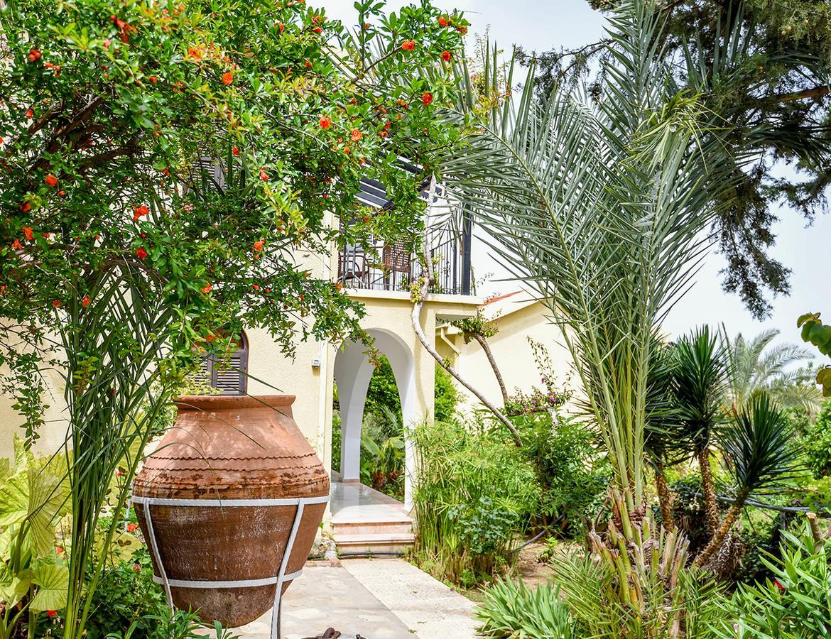 Хостел Bellapais Gardens Экстерьер фото